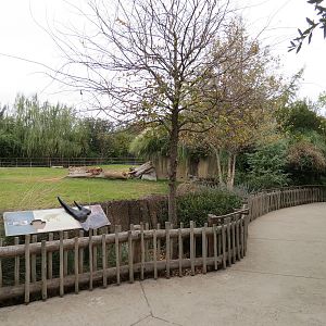 African Savanna - Black Rhinoceros Exhibit 2