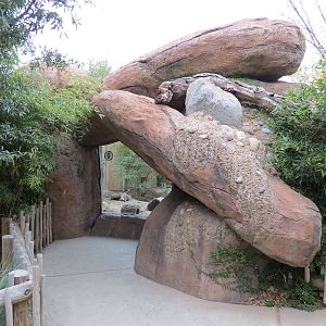 African Savanna - Meerkat Exhibit