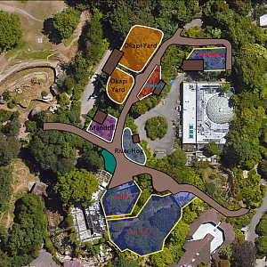 Woodland Park Zoo Renovated Congo