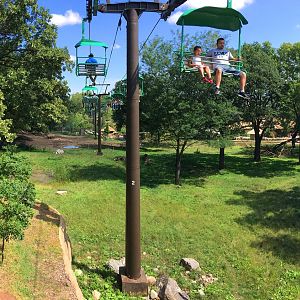 Skyfari: Giraffe, Impala & Ostrich Exhibit