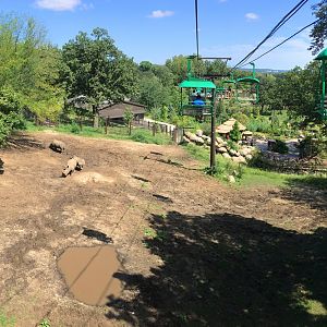 Skyfari: White Rhino Exhibit