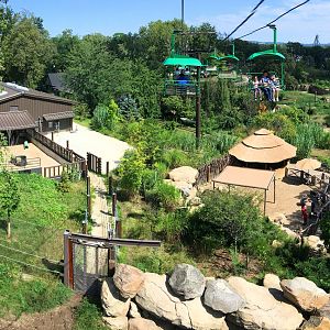 Skyfari: White Rhino Exhibit & Goat Kraal