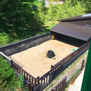 Skyfari: White Rhino Holding Area