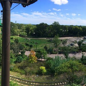 Skyfari: African Elephant Exhibit 1