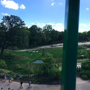 Skyfari: African Elephant Exhibit 2