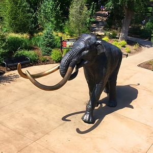 Skyfari: Mammoth Plaza 2