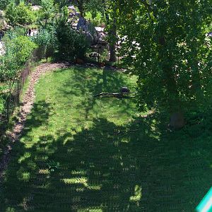 Skyfari: Bongo & Blue Crane Exhibit