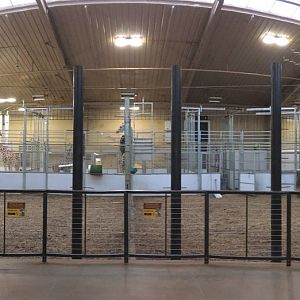 Giraffe Herd Rooms 1