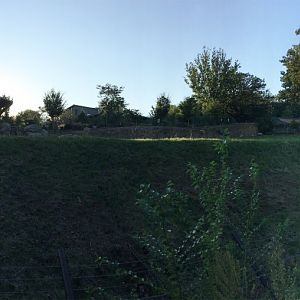 Giraffe, Impala & Ostrich Exhibit At Sunset 3