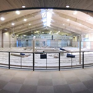 Elephant Family Quarters 2