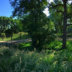 African Elephant Exhibit