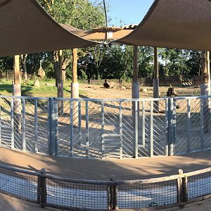 Omaha Steaks Elephant Amphitheater