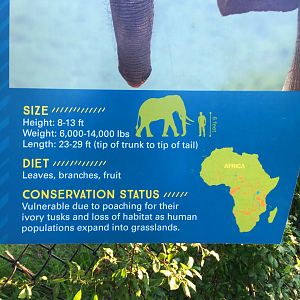 African Elephant Exhibit Label