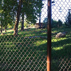 Bongo & Blue Crane Exhibit 2