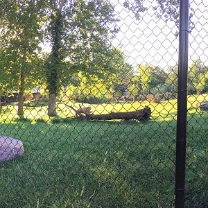 Bongo & Blue Crane Exhibit 3