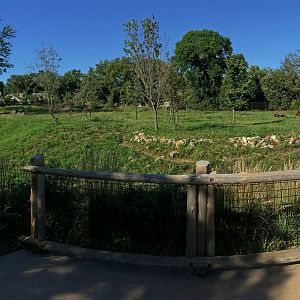 Sable Antelope Exhibit 2