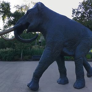 Mammoth Plaza Archie At Sunset