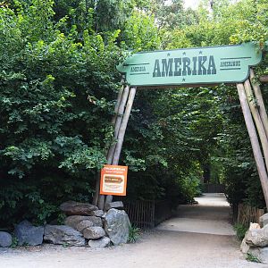 Access to Planckendael's American section, 2020-08-15