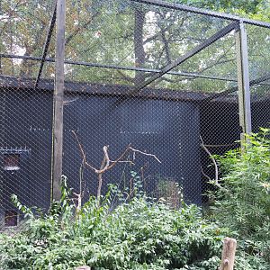 Aviary temporarily housing a Striated caracara, 2020-08-15