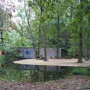 Capybara exhibit, 2020-08-15