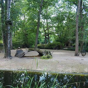 Capybara exhibit, 2020-08-15