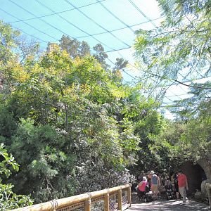 Wings of the World [2015]