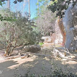 Wings of the World [2015]