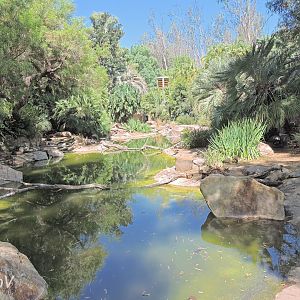 Storm's stork exhibit [2015]