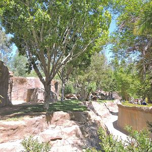 Gorilla exhibit [2015]