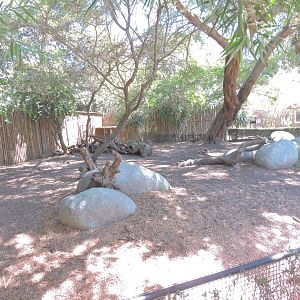 Cavendish's dik-dik exhibit [2015]