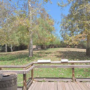 Gerenuk exhibit [2015]
