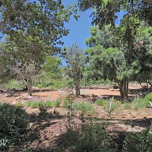 Bontebok exhibit [2015]