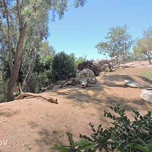 Vulture exhibit [2015]