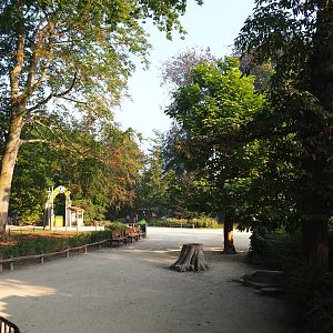 Main park road seen near the female Indian rhinoceros paddock, 2020-09-16