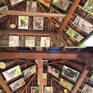 Signs of endangered species breeding results at Planckendael, 2020-09-16