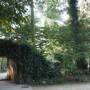 European aviary, 2020-09-16