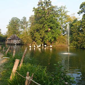 Dalmatian pelican pond, 2020-09-16