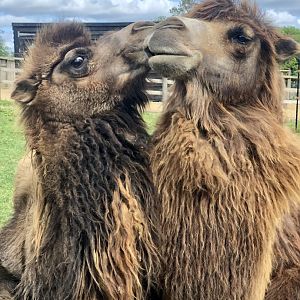 Arthur & Alice (L-R)