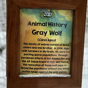 History of the Zoos 15 year old (this Spring) Wolf-pack.