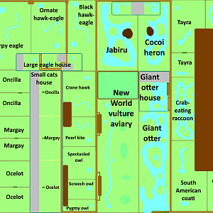 Realms of the Amazon - Part 1 - The Realm of the Harpy eagle and the Jaguar