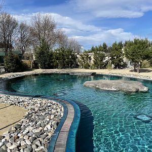 African penguin enclosure