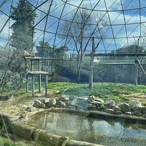Persian leopard enclosure