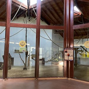 Lemur indoor enclosure