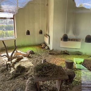 Indoor enclosure for African spurred and leopard tortoises