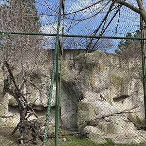Golden and imperial eagle aviary