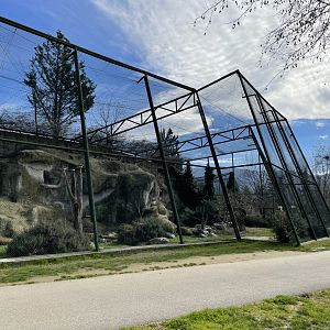 Northern bald ibis aviary