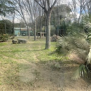 Siberian tiger enclosure