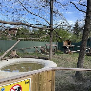 Red panda enclosure