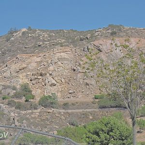 Unused caprine exhibit [2015]