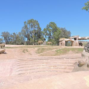 Elephant exhibit [2015]